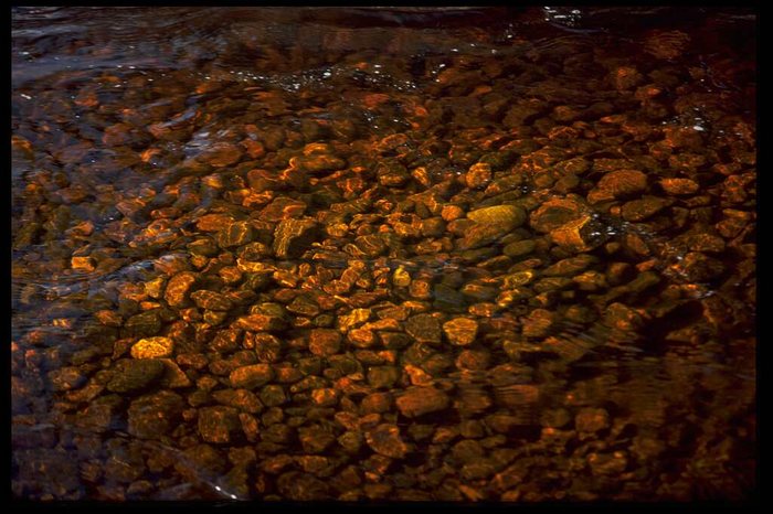 Wasser? Whisky? Kleiner Wildbach im schottischen Hochland II