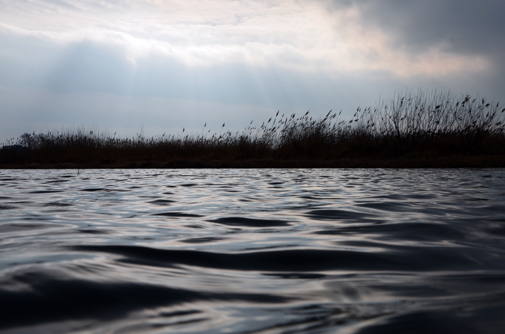 Wasser wichtiges elemet der Erde