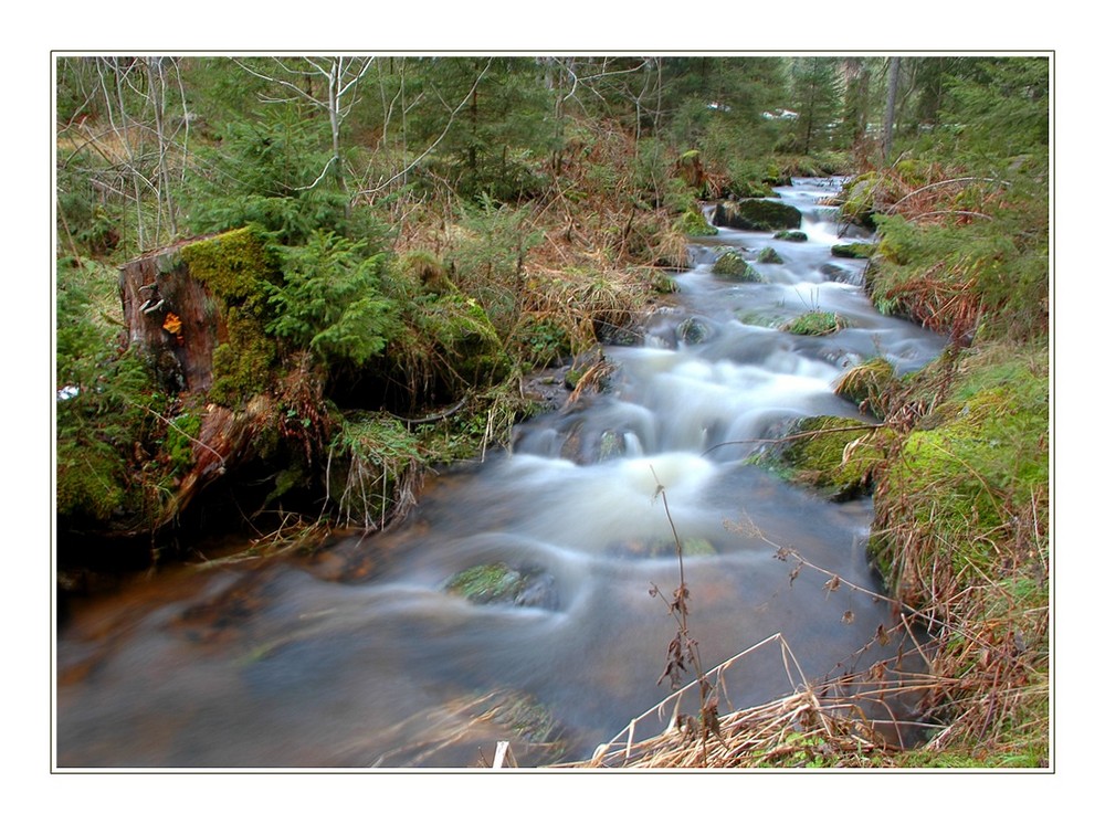 Wasser wie Watte