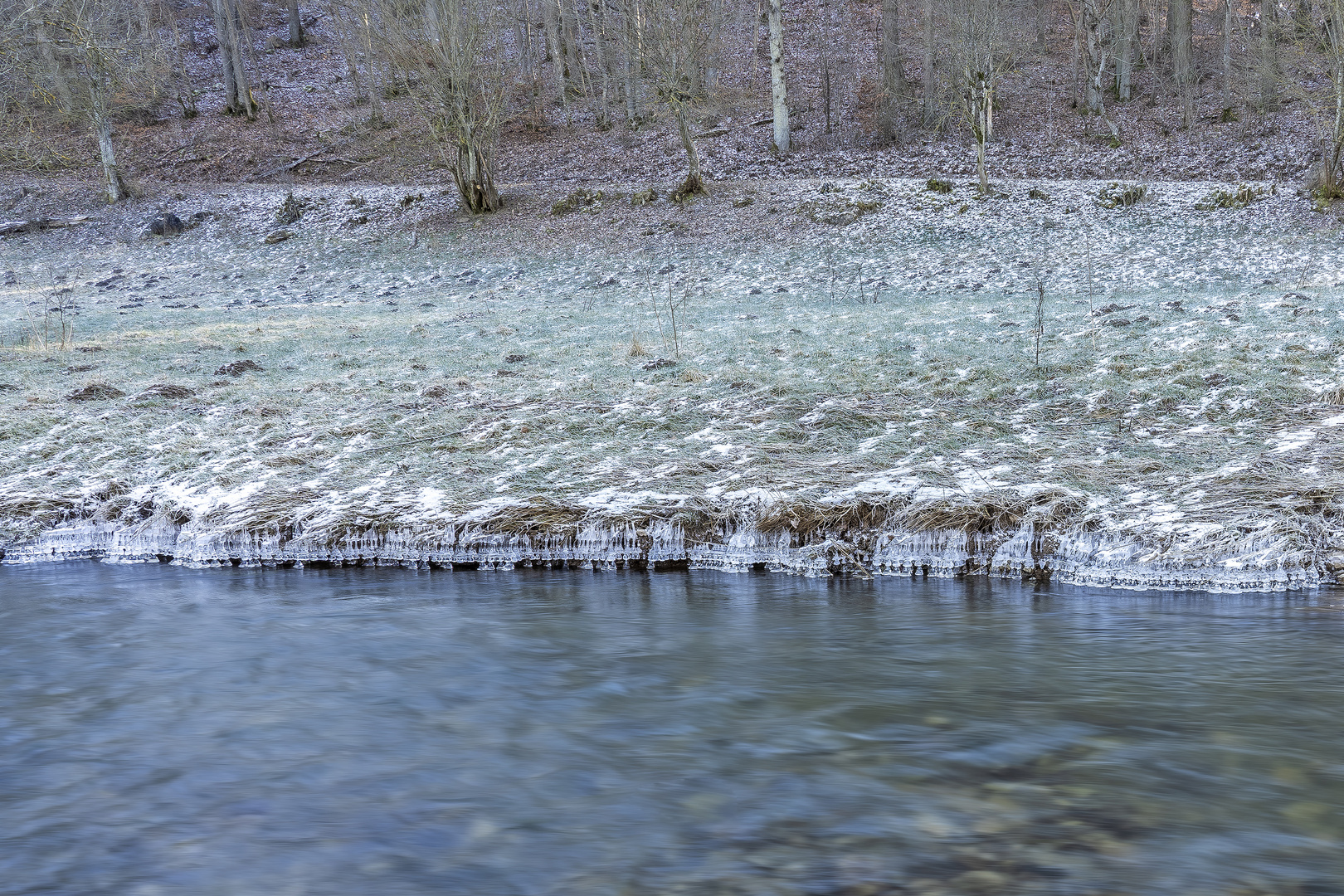 Wasser Wiese Wald