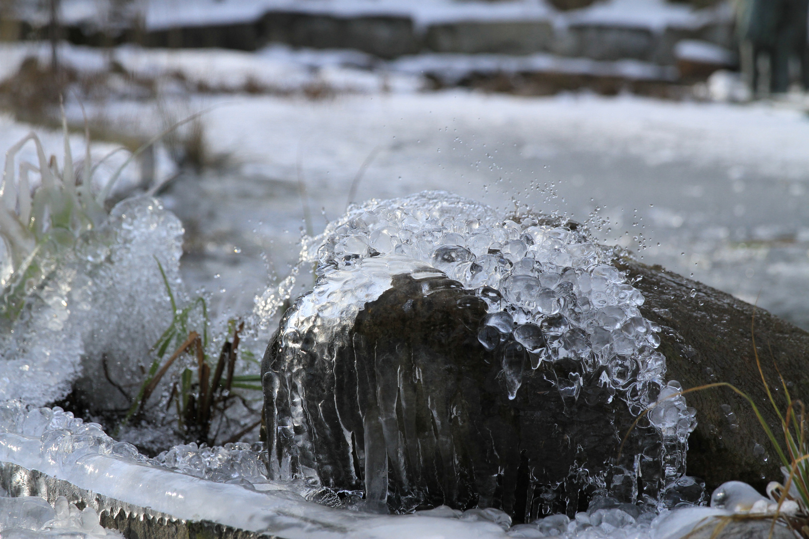 wasser wird zu eis