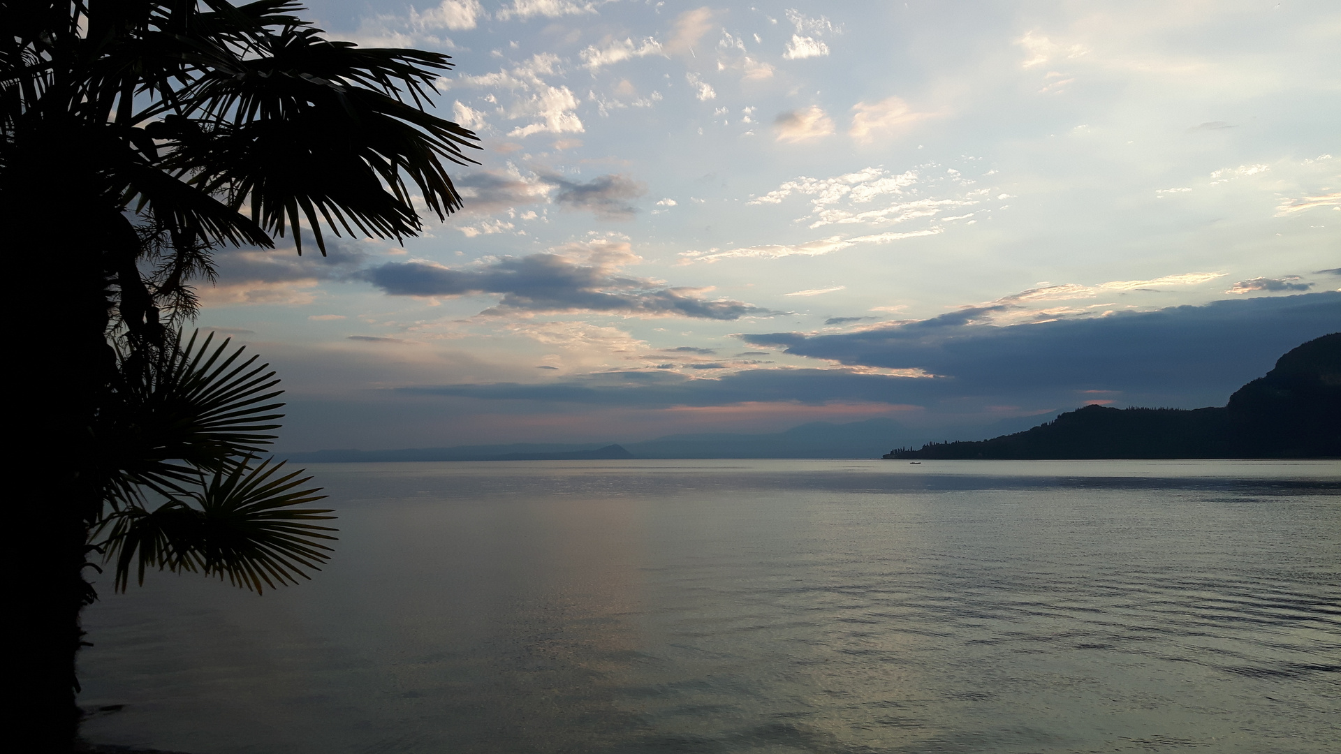 Wasser, Wolken und Palme 