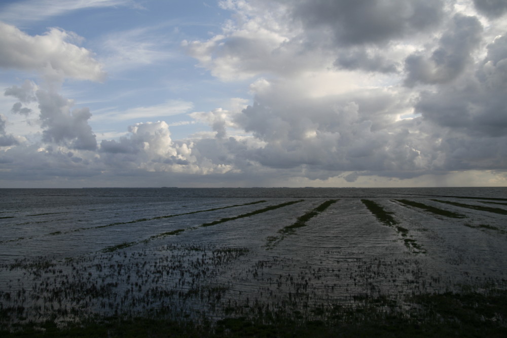 Wasser, Wolken, Wind und Ferne