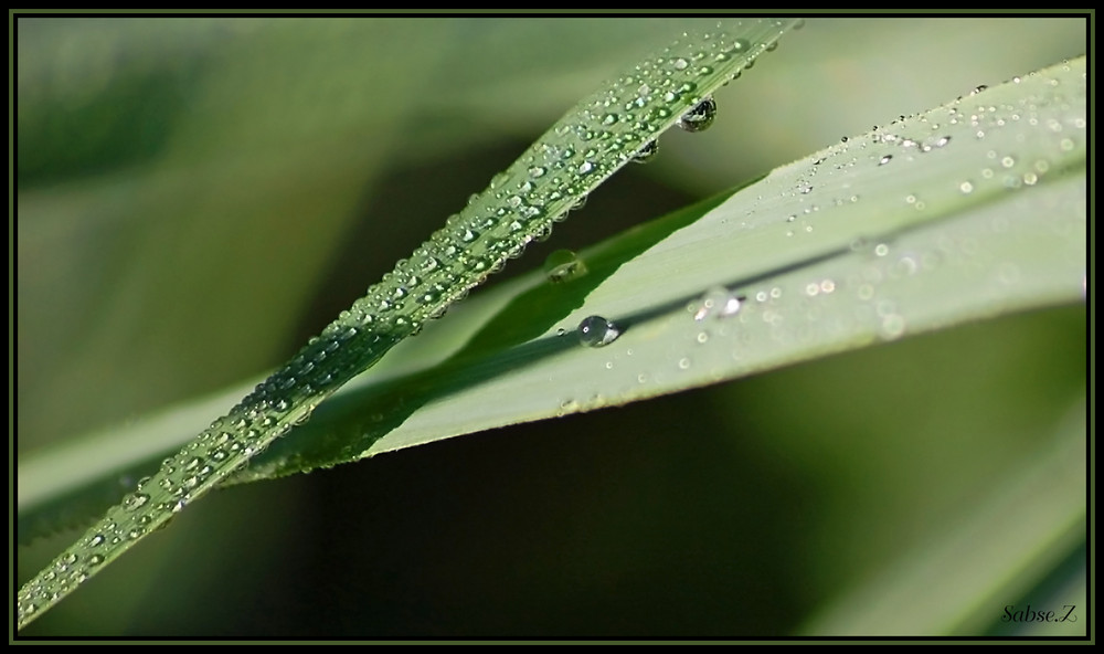 Wasser, Wunder der Natur