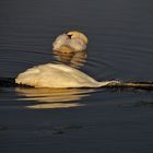 "Wasser-Yoga"