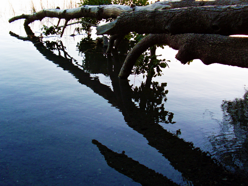 Wasser-Zeichen