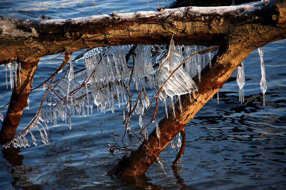 Wasser zu