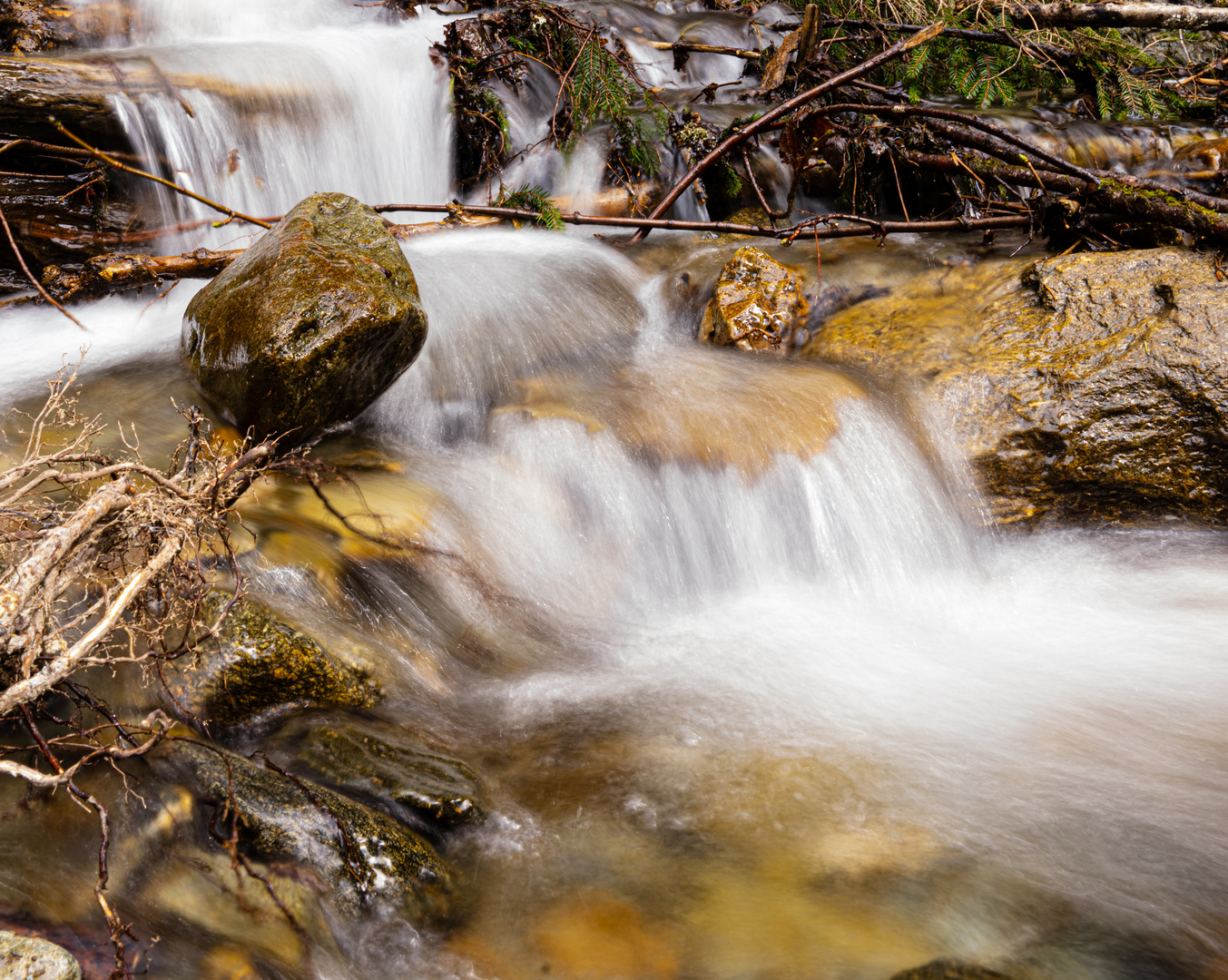 Wasser zu Milch