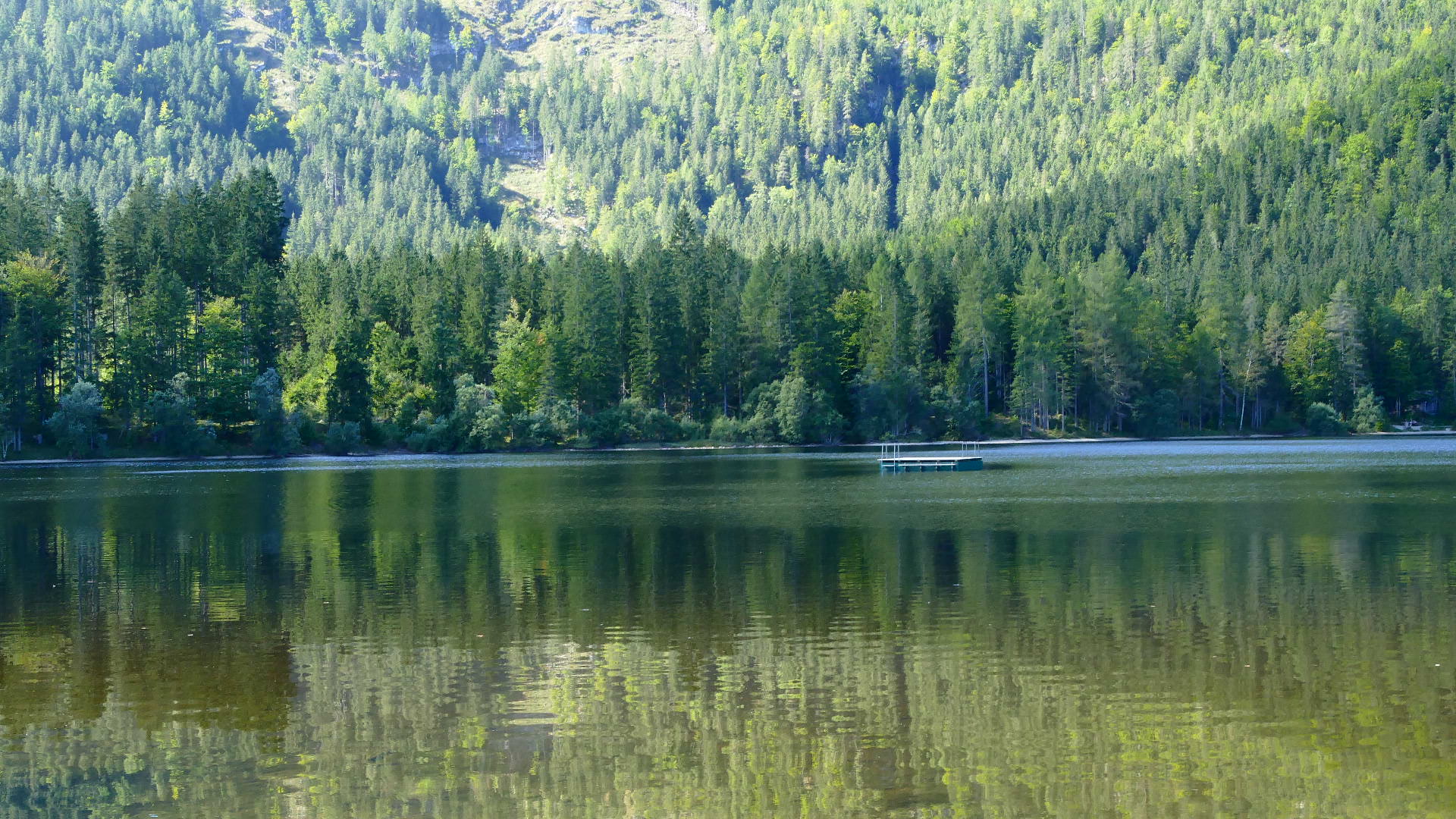 Wasser, zum Baden, Fischen oder nur zum Anschauen