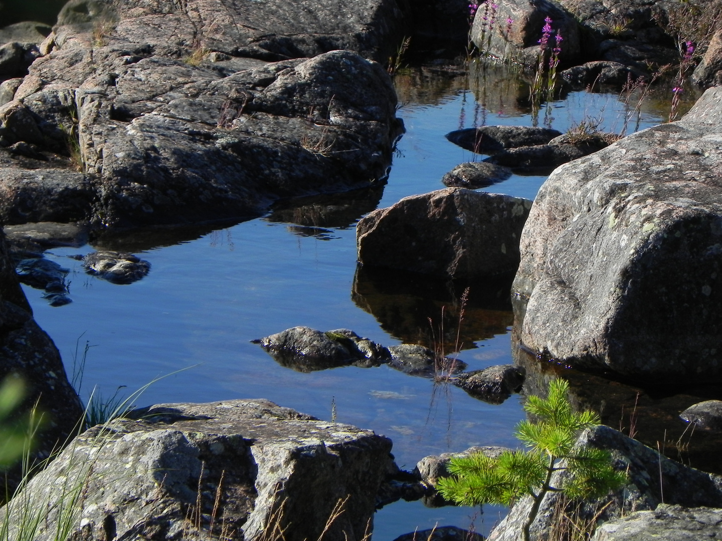 Wasser zwischen den Felsen am See - eine kleine Welt