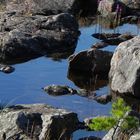 Wasser zwischen den Felsen am See - eine kleine Welt