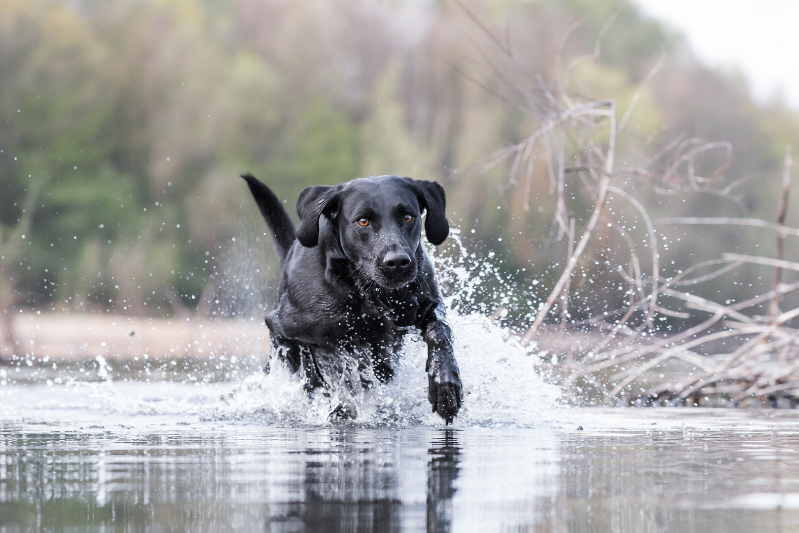 Wasseraction!