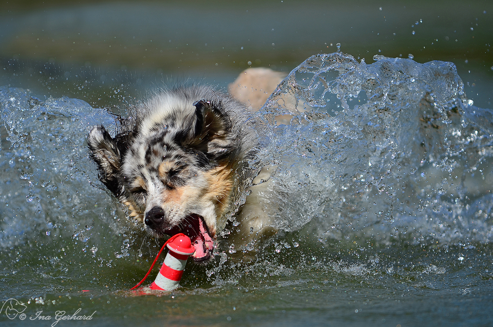 Wasseraction - Augen zu und durch