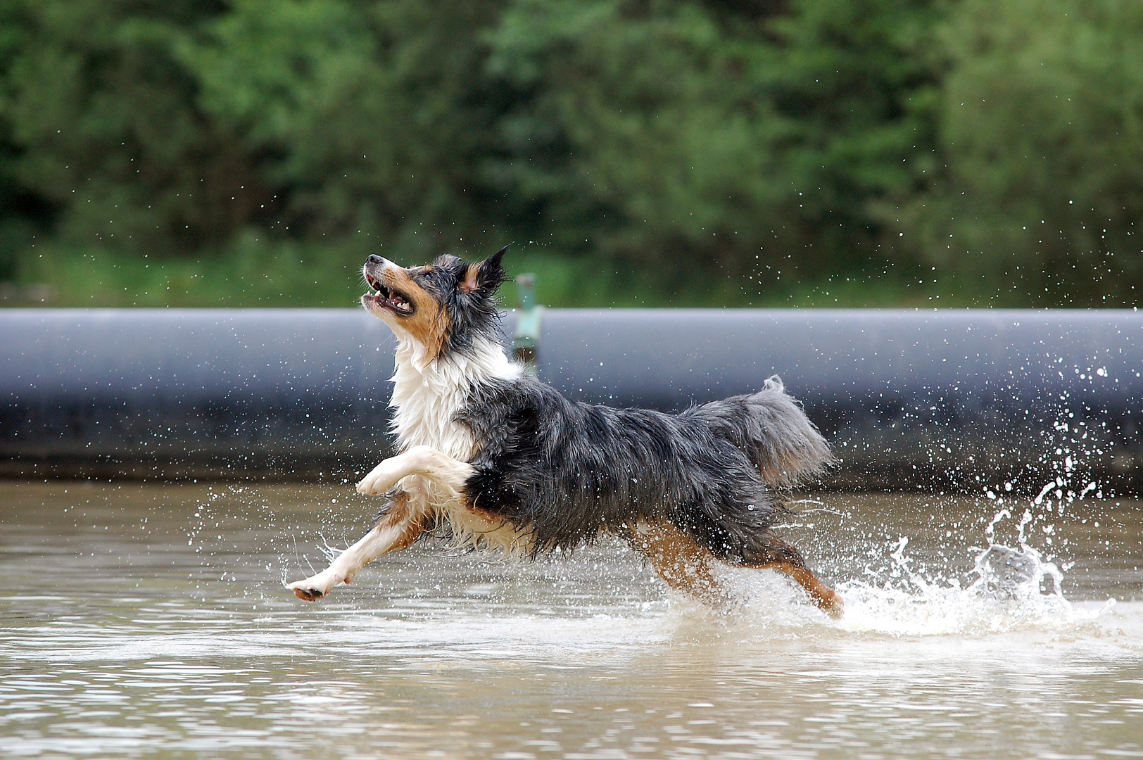 * Wasseraction im Ruhrgebiet *