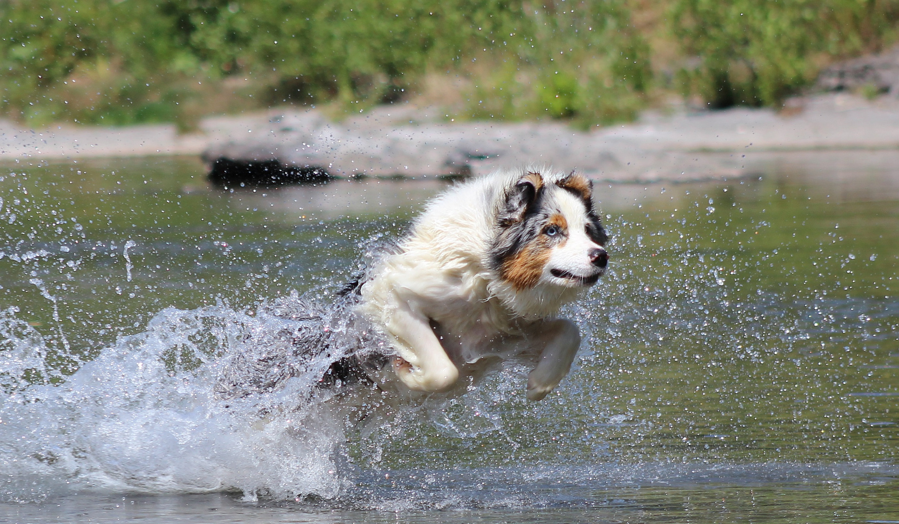 Wasseraction mit Lexi