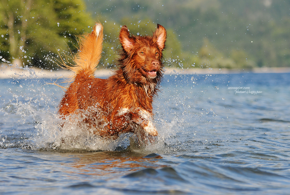 Wasseraction mit Sam