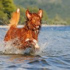 Wasseraction mit Sam