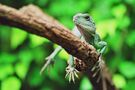 Wasseragame 04 von Joerg Ma.