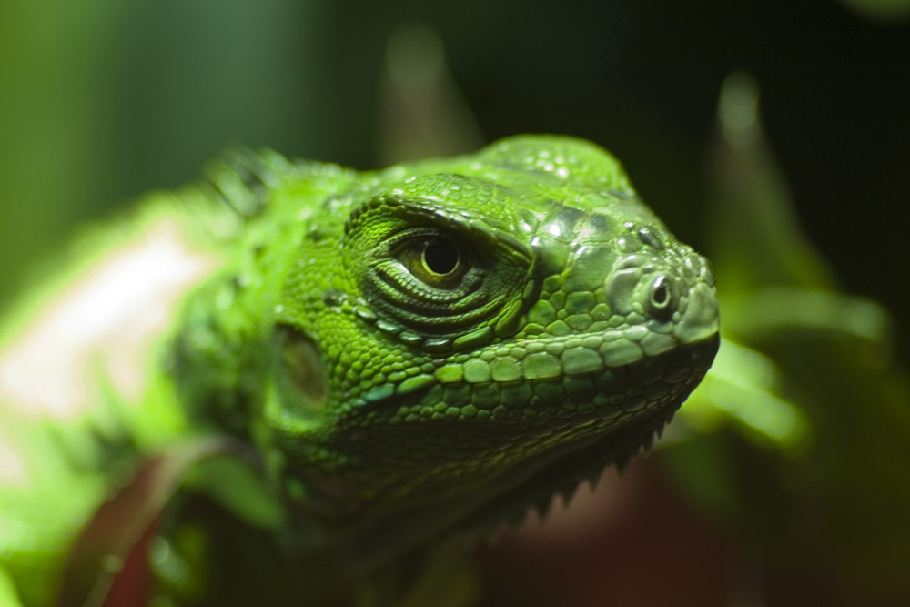 Wasseragame von Andreas Maria Wolf