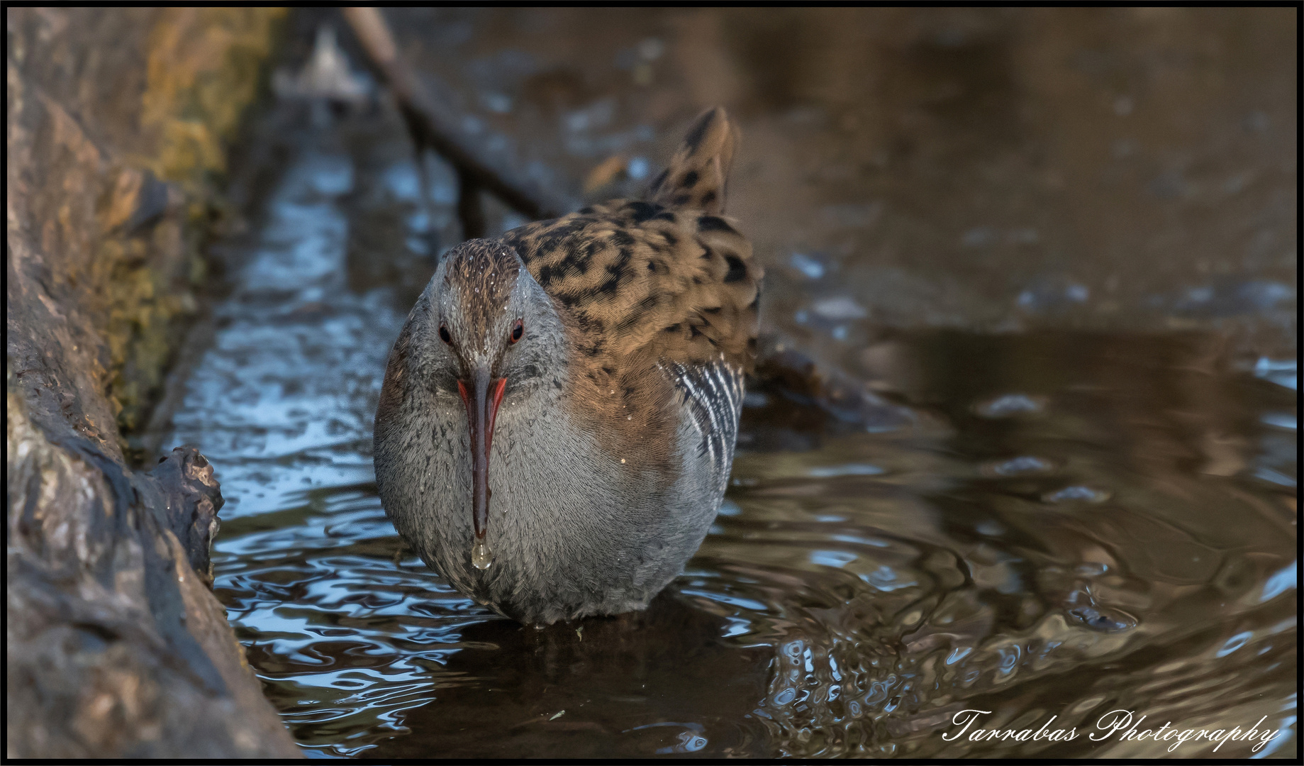 Wasseralle