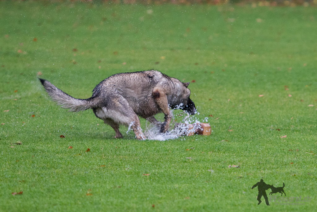 Wasserapport