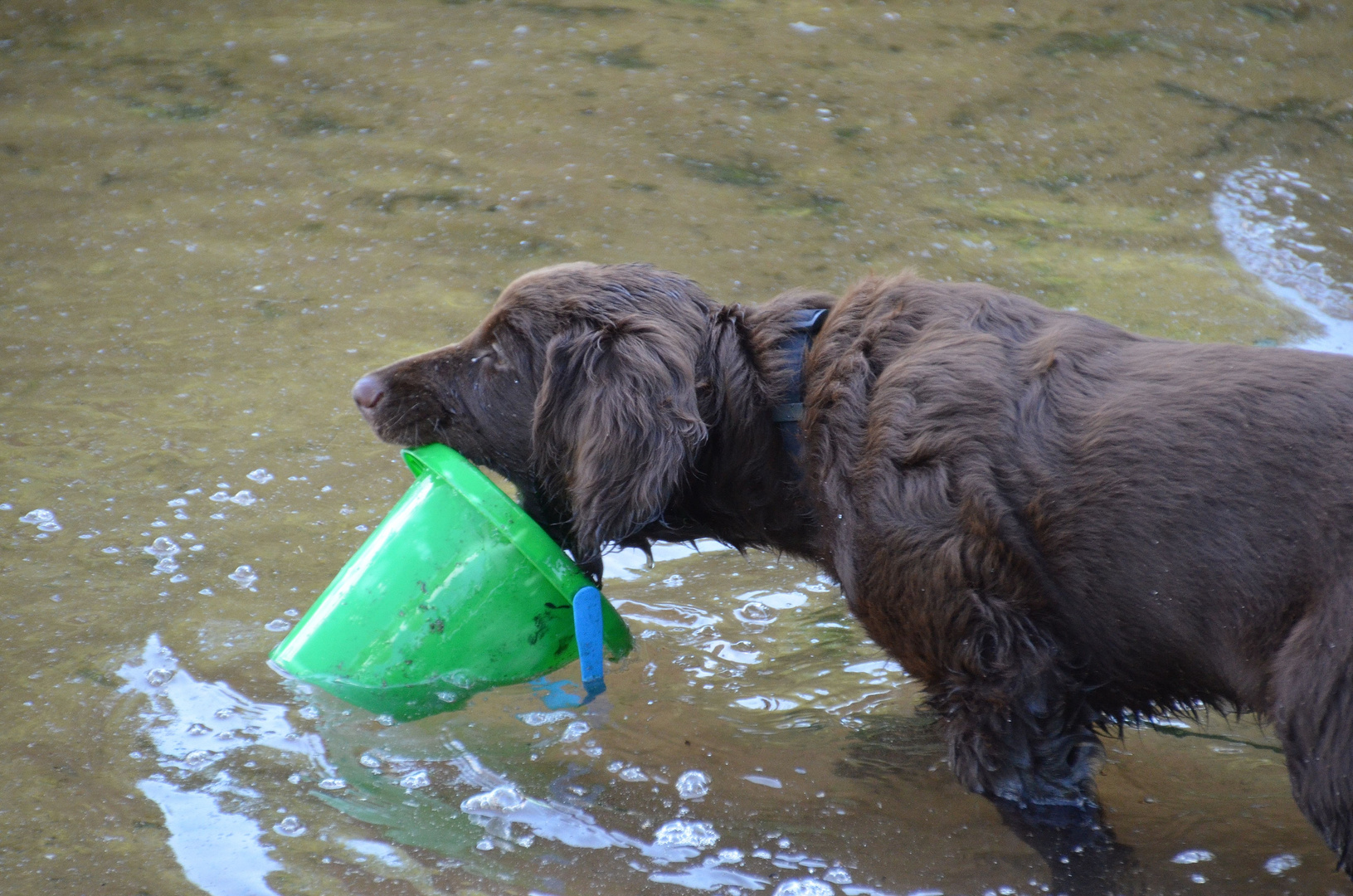 Wasserarbeit ;-)