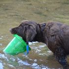 Wasserarbeit ;-)