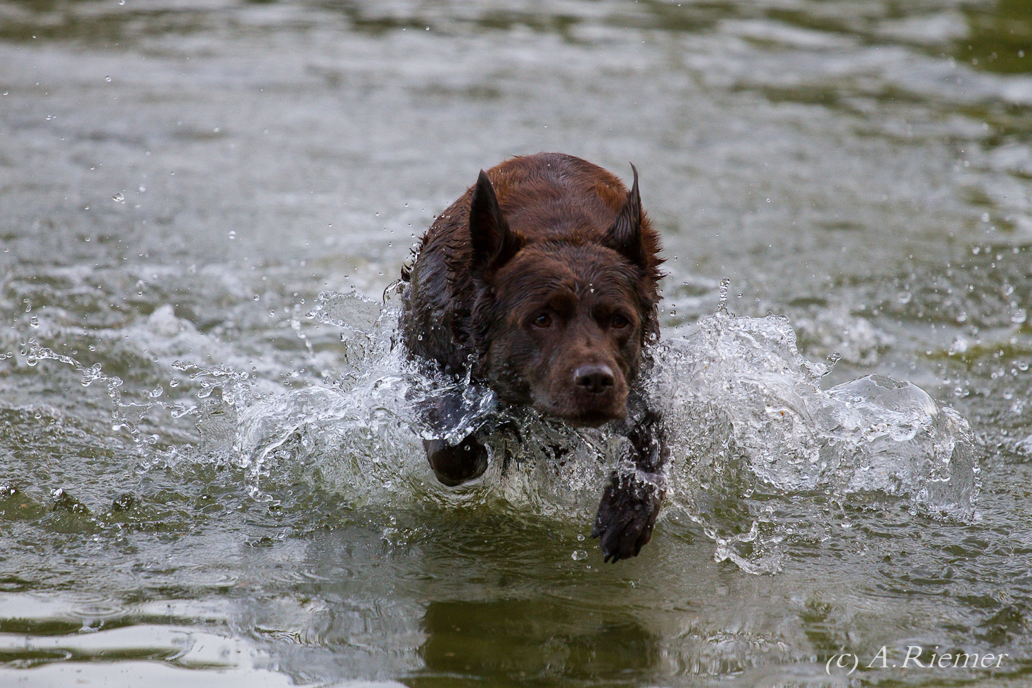 Wasserarbeit