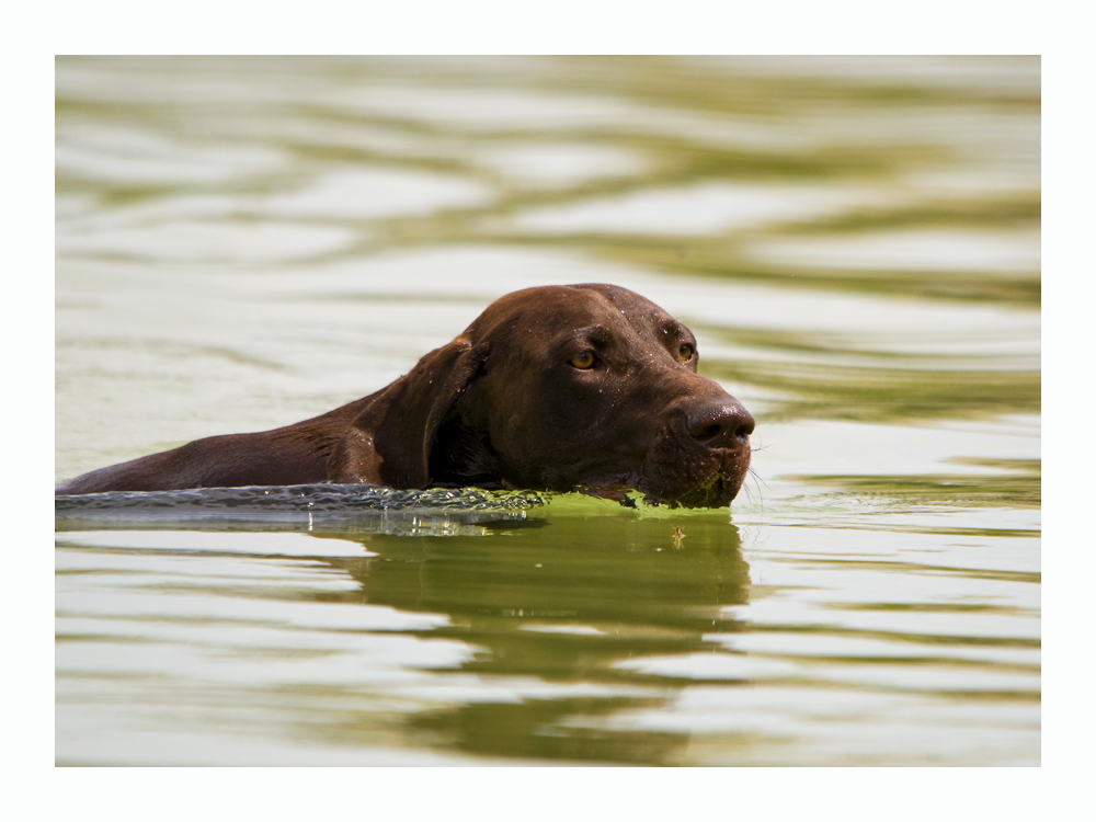 Wasserarbeit