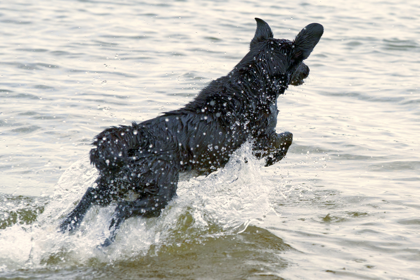 Wasserarbeit