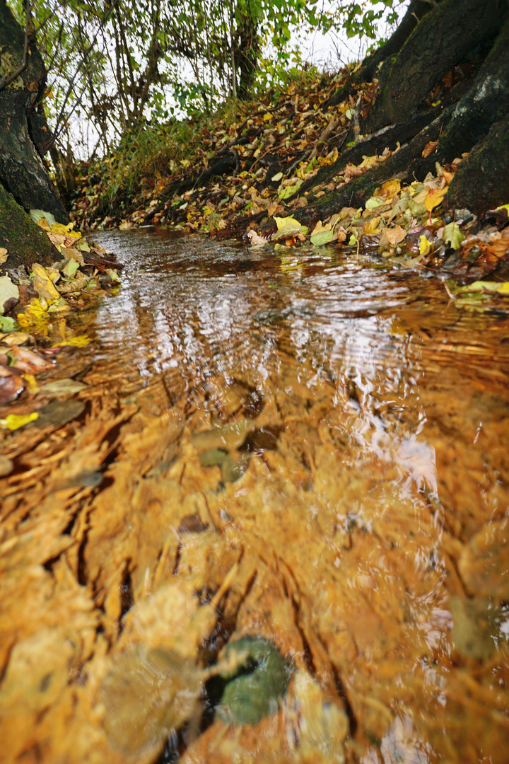 wasserauslauf eines kleinen Weihers