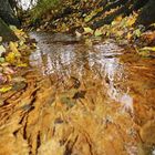 wasserauslauf eines kleinen Weihers