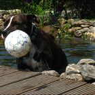 Wasserball...