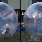 "Wasserball"