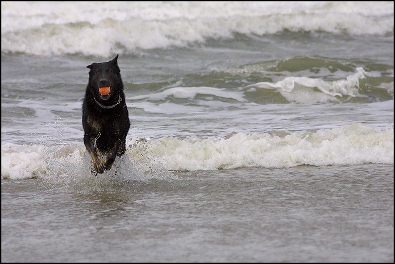 WasserBall