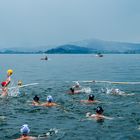 Wasserball Turnier am Zuger See