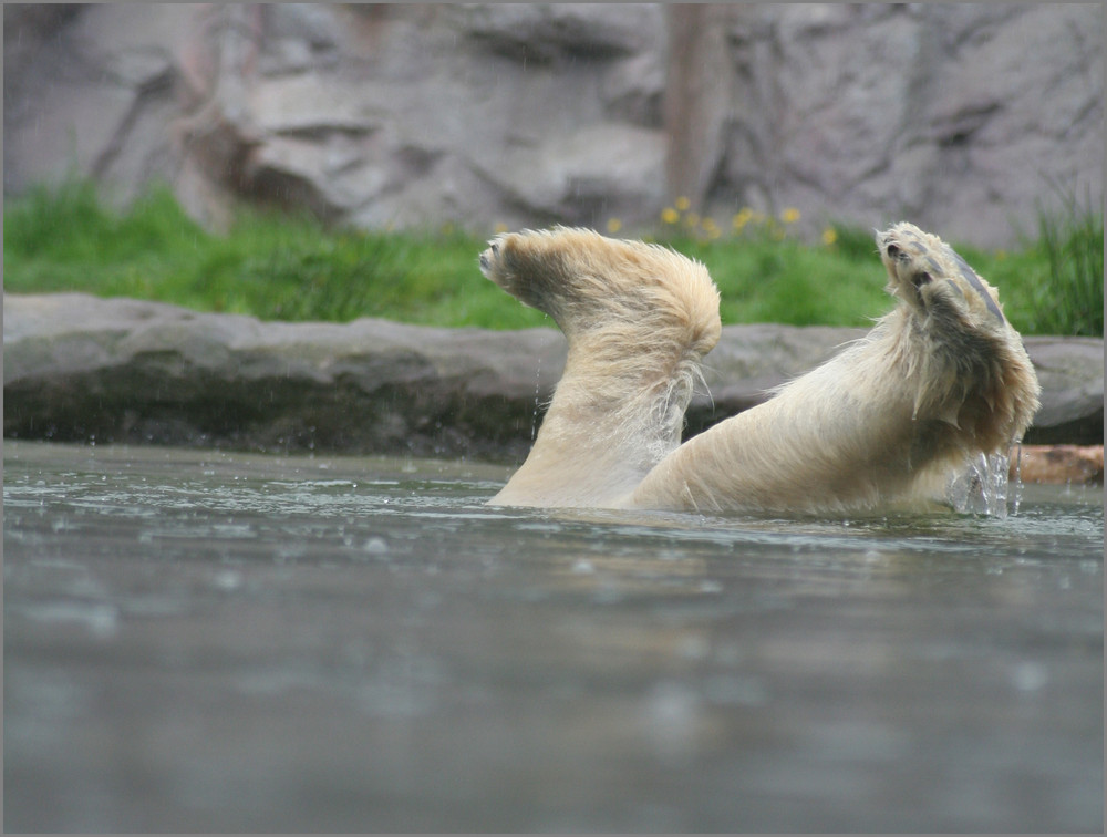 Wasserballet