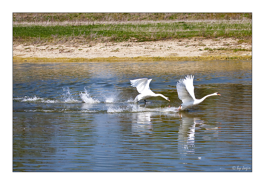 Wasserballett II