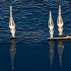 WASSERBALLETT. ÜBERWIEGEND STEHEND. UND ZITTERND.