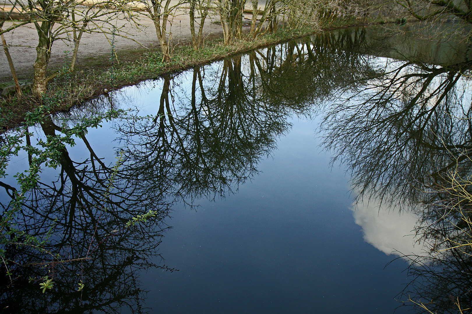 Wasserbecken am Gehege der Przewalski Pferde ..