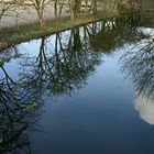 Wasserbecken am Gehege der Przewalski Pferde ..