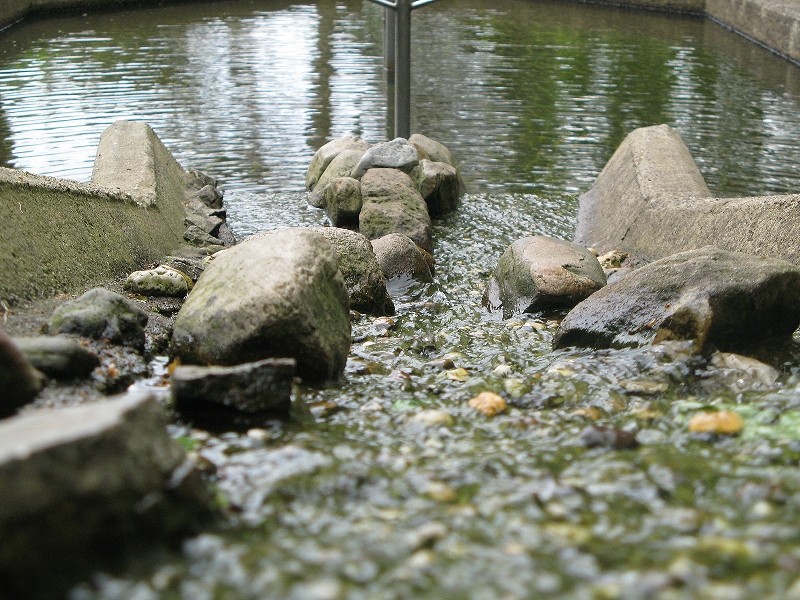 Wasserbecken von oben