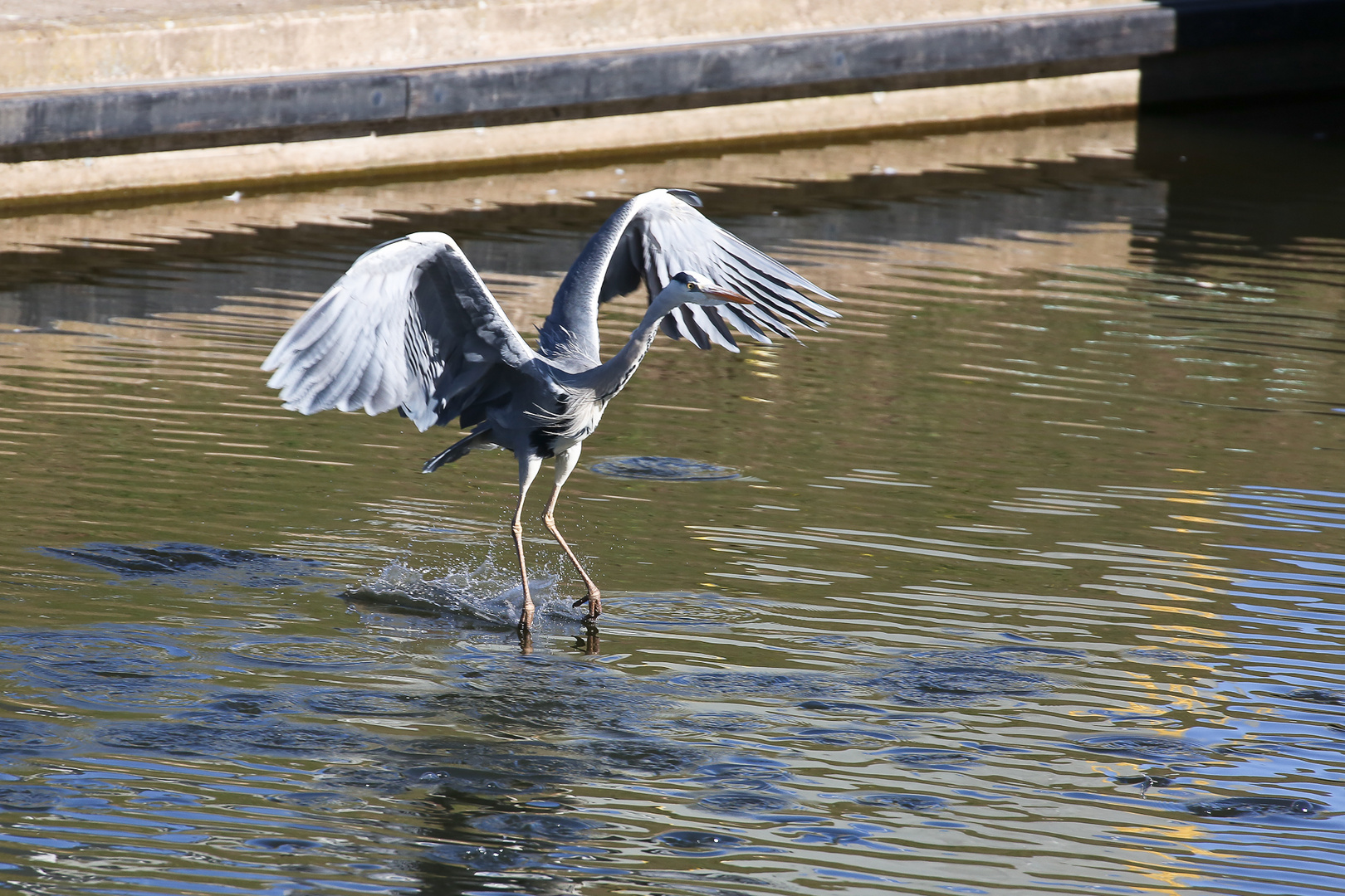 Wasserberührung