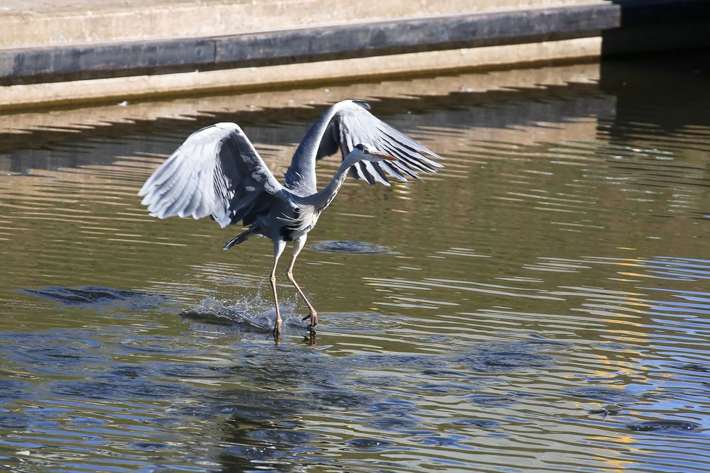 Wasserberührung