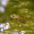 Wasserbett