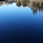 Wasserbewegungen in Form von Kreisen
