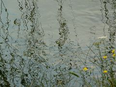 Wasserbild