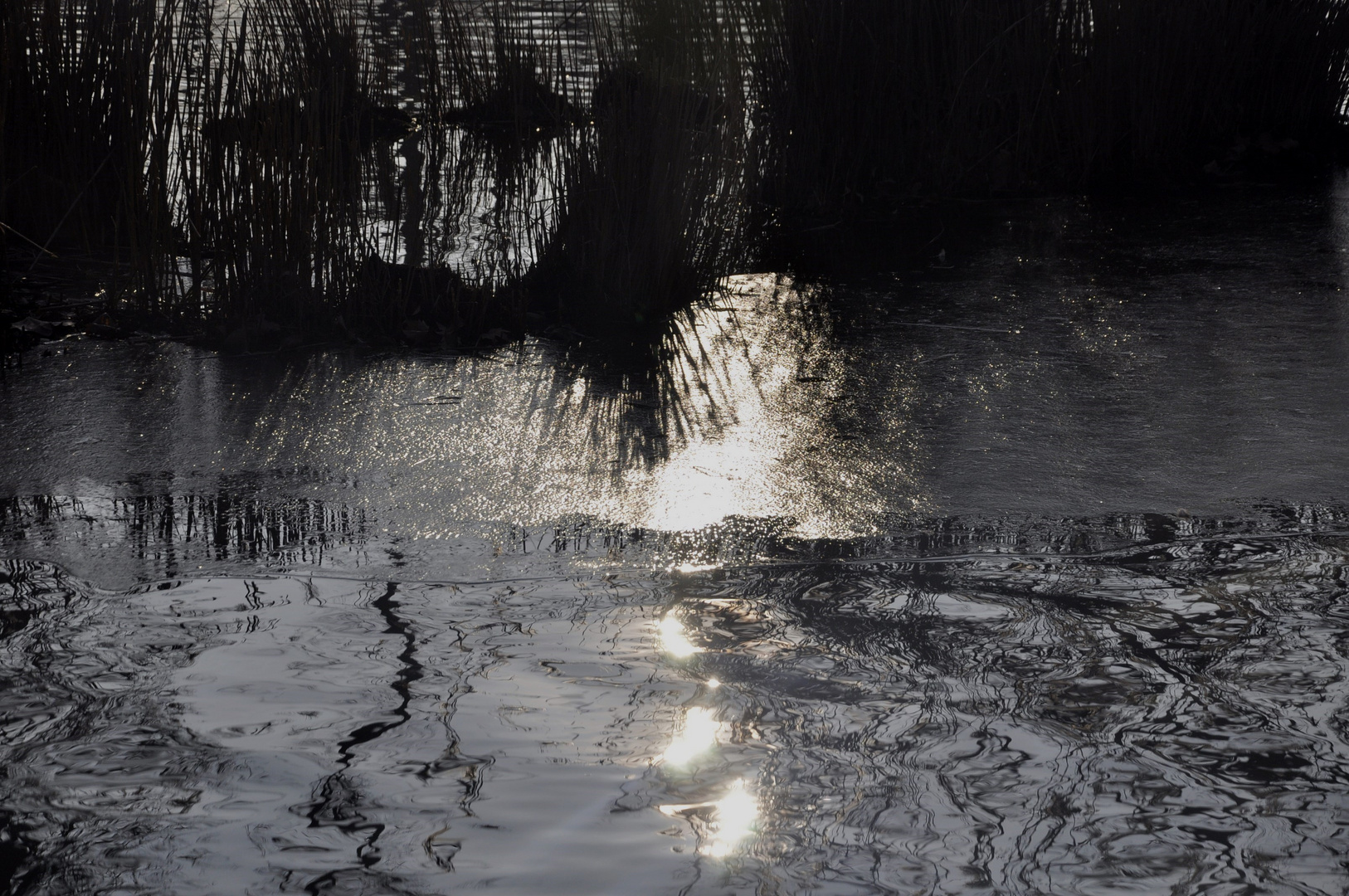 Wasserbilder aus Licht auf dem See im Rosensteinpark