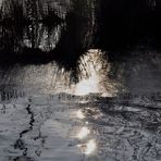 Wasserbilder aus Licht auf dem See im Rosensteinpark