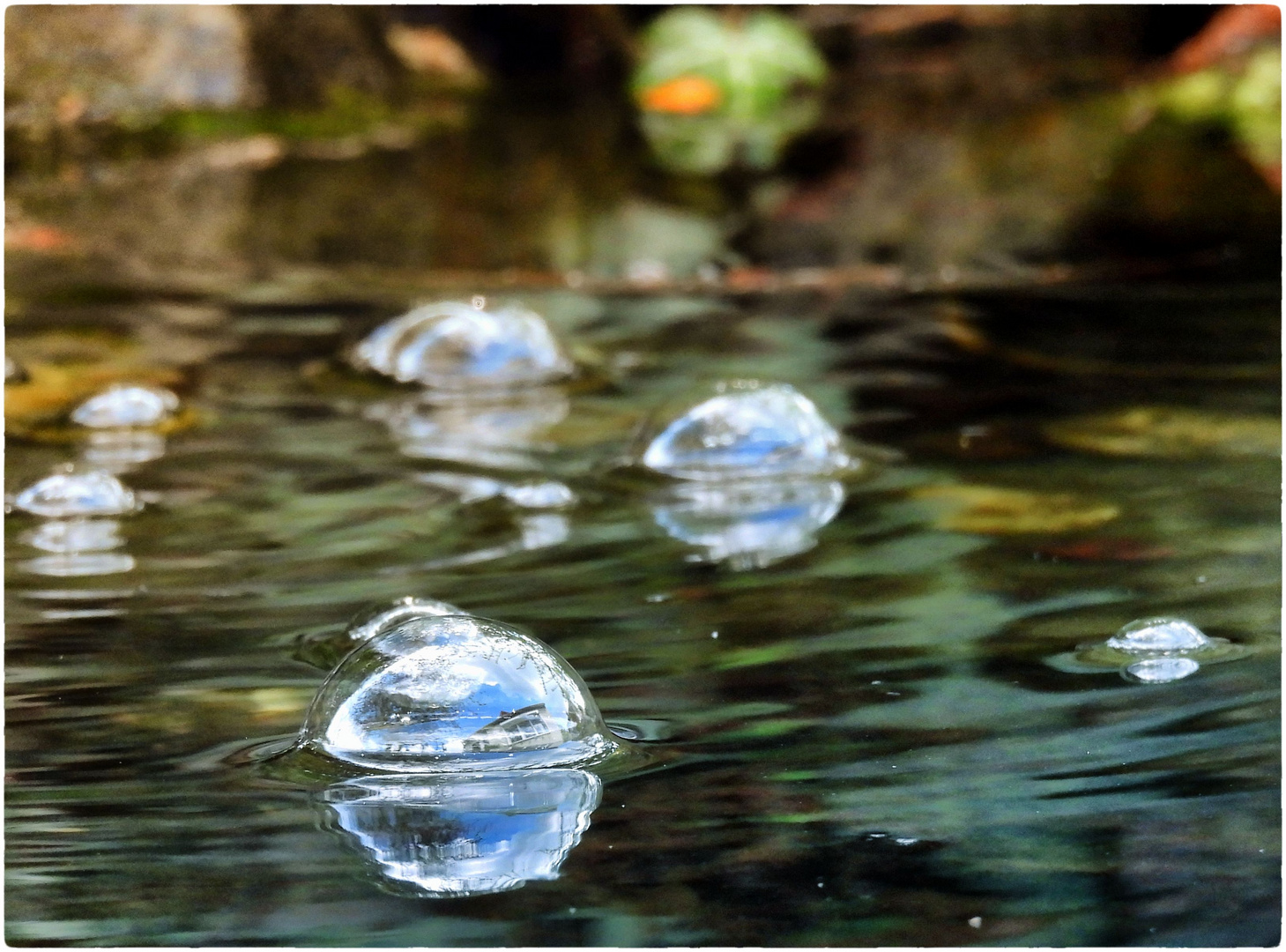 Wasserbläschen